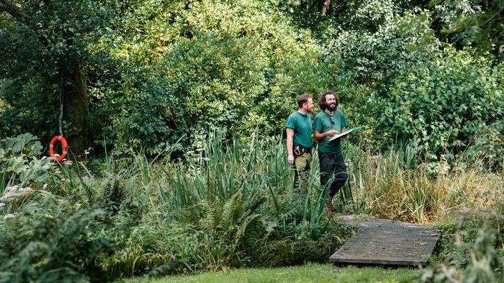 Landscaping contractors reviewing a site