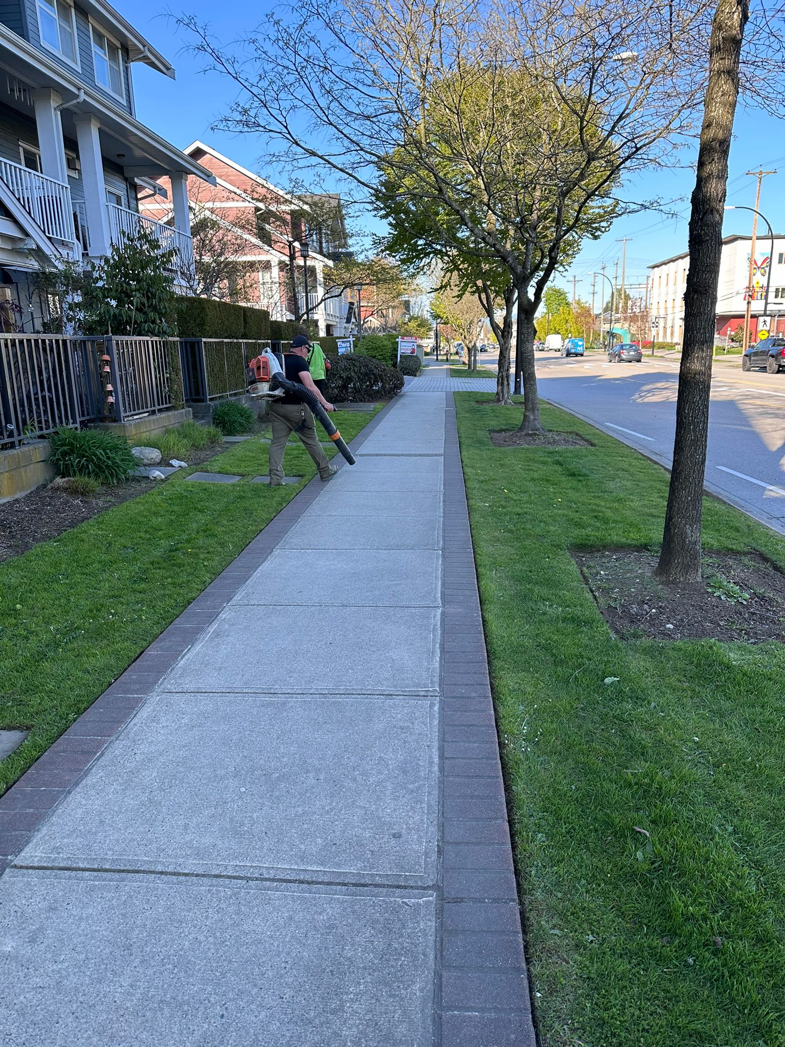 A sidewalk in a residential neighbourhood being cleaned by a professional using a leaf blower, showcasing health, hygiene, and enhanced safety in property management.