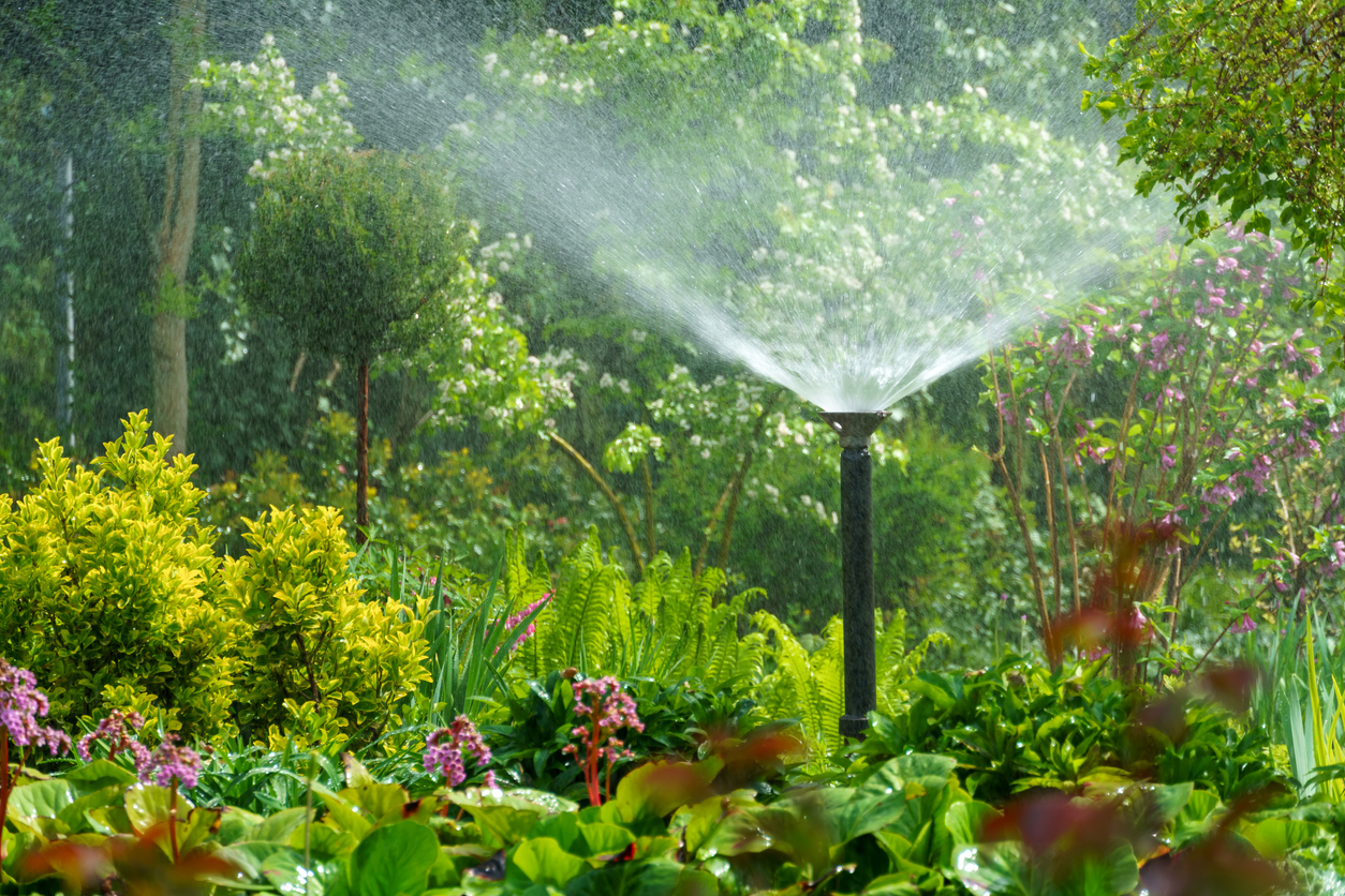 beautiful garden with trees, decorative shrubs and plants being watered with an strong sprinkler
