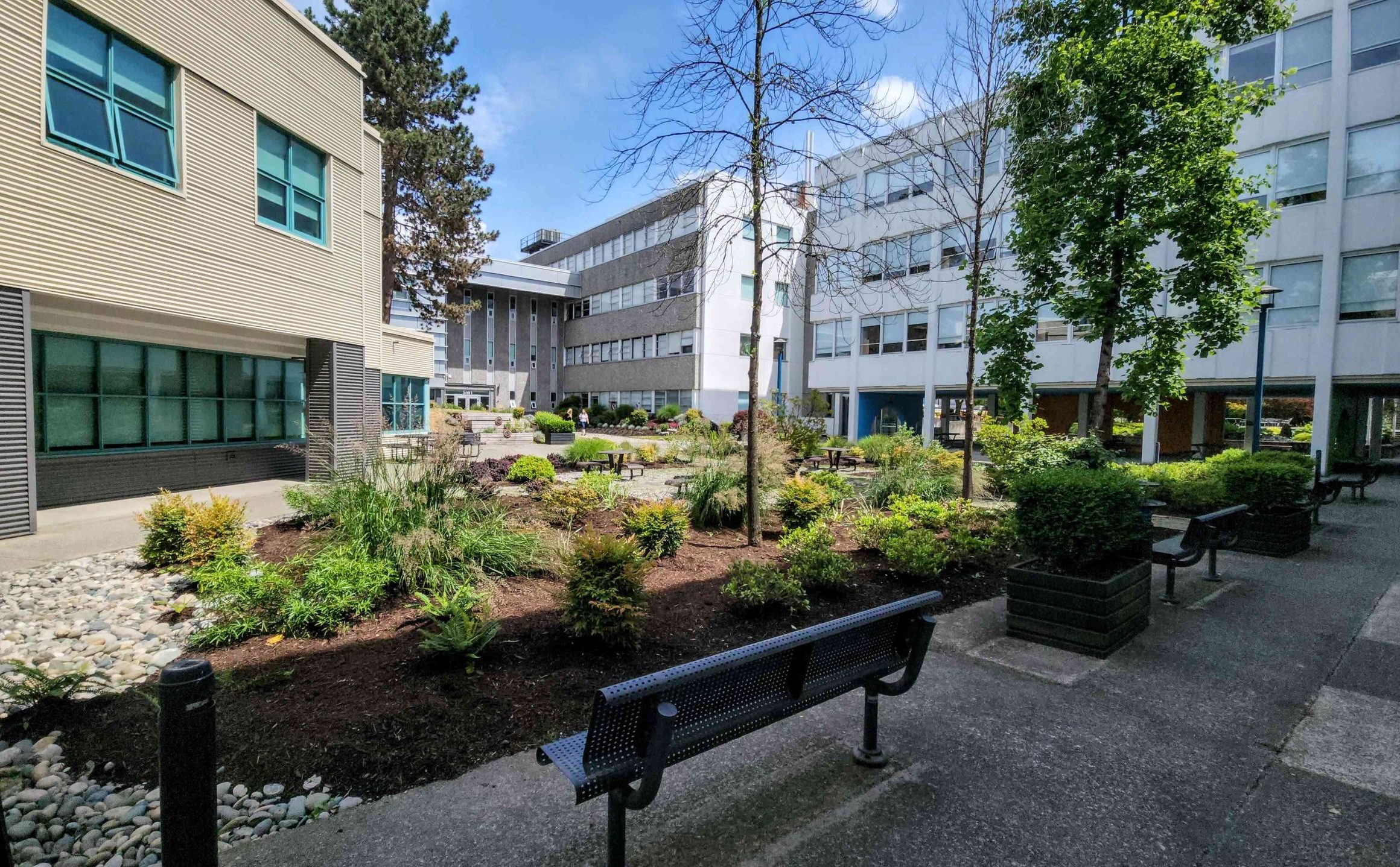 BCIT marine Campus