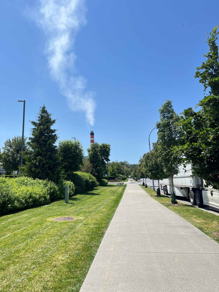 Freshly mowed lawn outside Building 1 at Riverbend