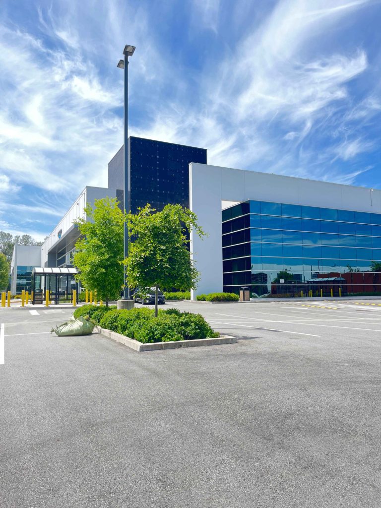 Clean greenery after moss control along parking lot at Riverbend