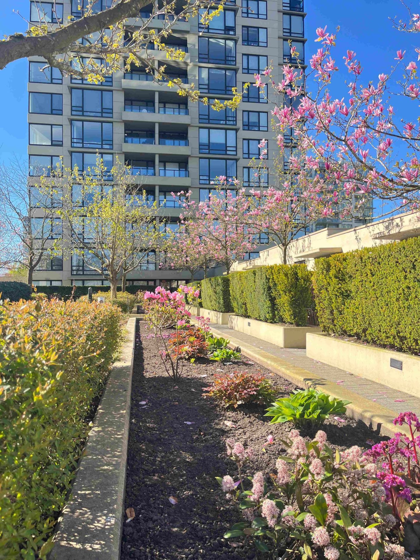 Katsura & Sequoia at Hamptons Park