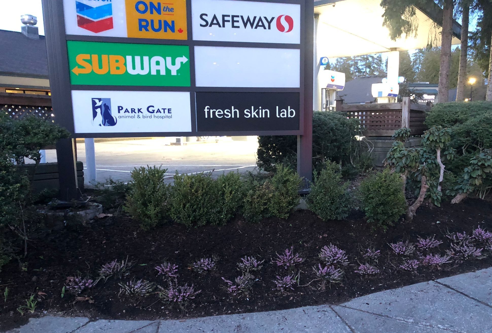 Collingwood Safeway