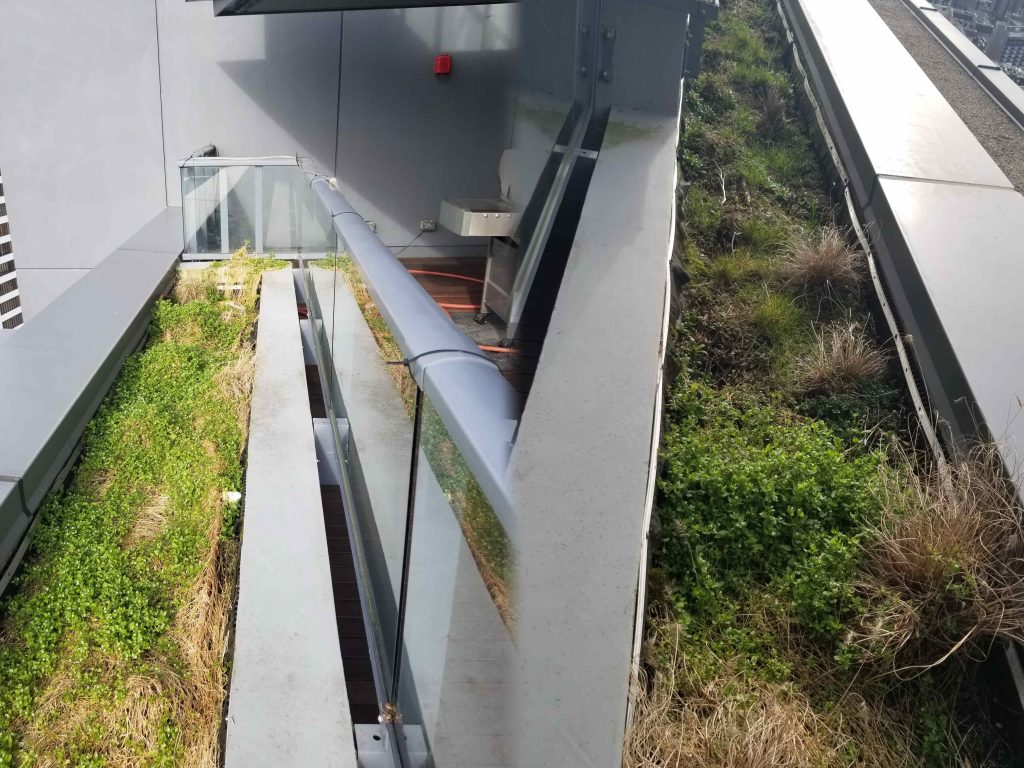 Overgrown 49th&50th-floor edge planter requiring difficult maintenance.