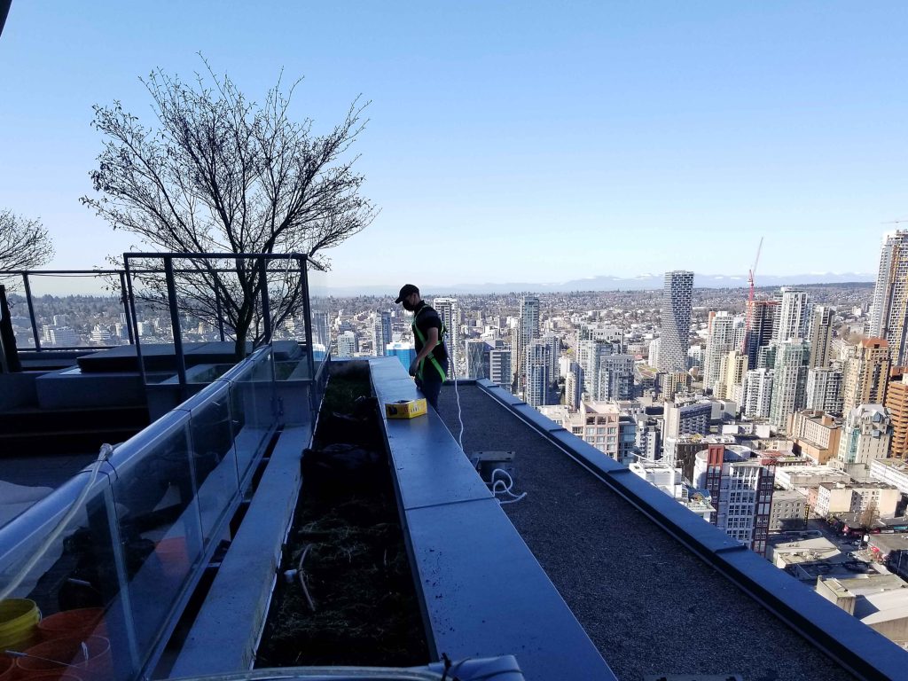 Premier crew with fall protection clearing planters.