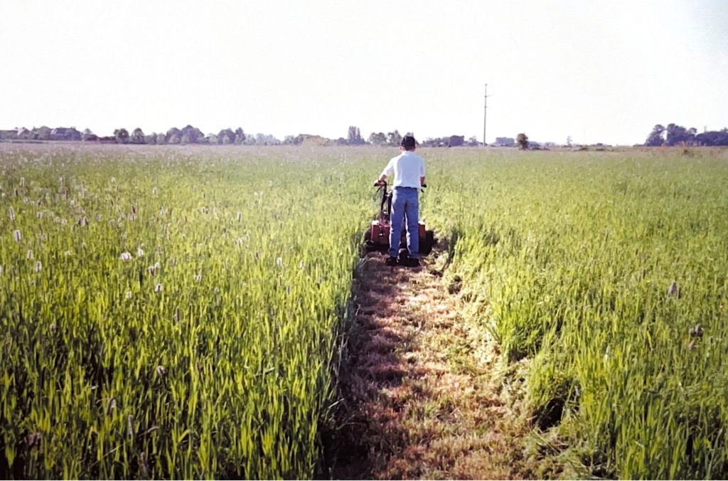 Vintage photo of an 80s commercial landscaping crew tackling overgrown, half-human-height grass.