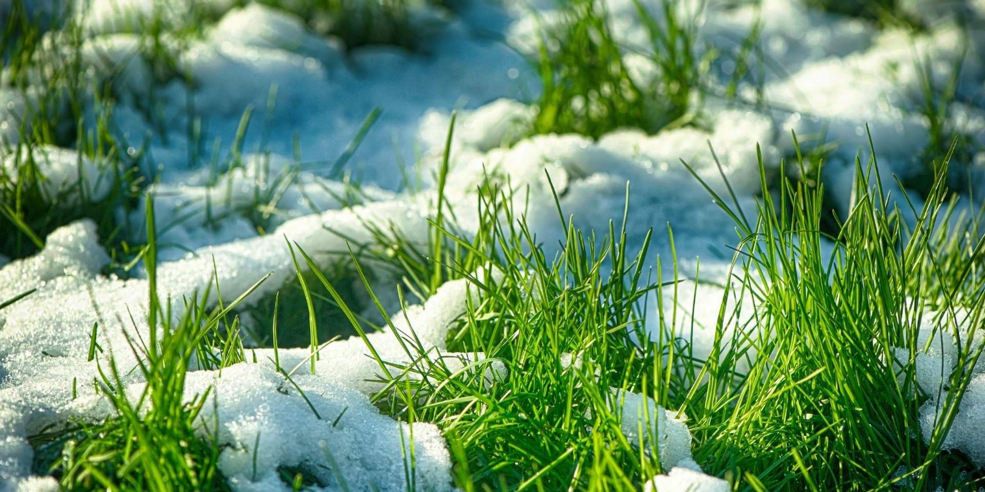 Winter& Early Spring