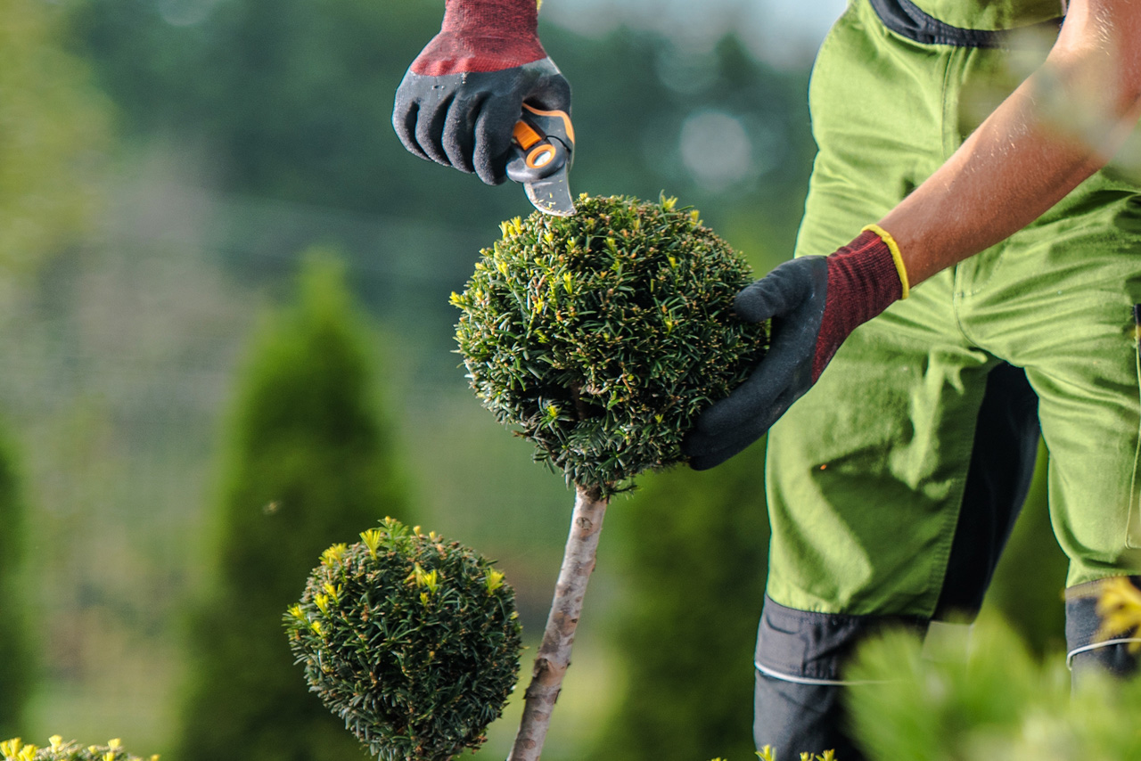 premier-landscaping-difference