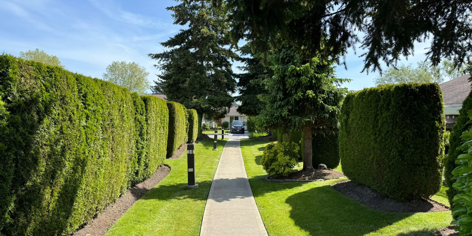 A scenic walkway flanked by meticulously maintained hedges and trees, highlighting the importance of property management cleaning for health and enhanced safety.