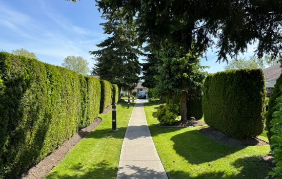 A scenic walkway flanked by meticulously maintained hedges and trees, highlighting the importance of property management cleaning for health and enhanced safety.