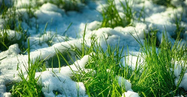 Winter& Early Spring