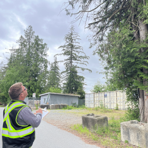 ISA Certified Tree Assessment and reporting services